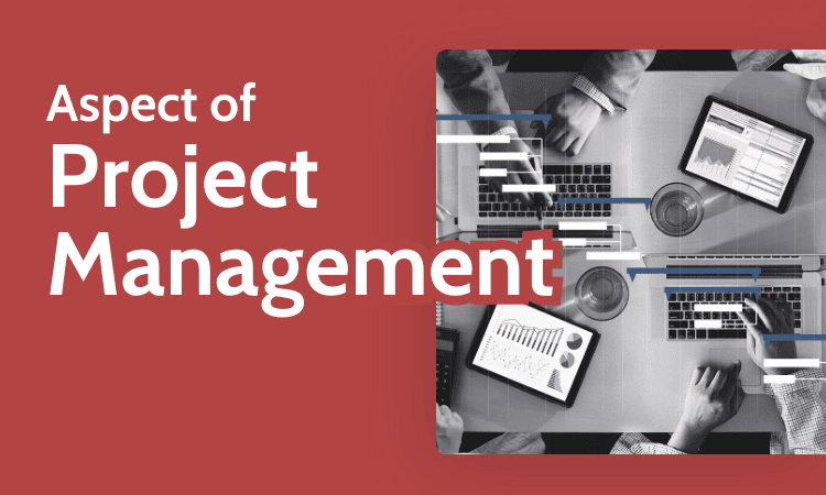 Aspects of Project Management