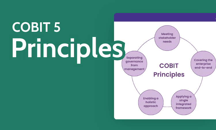 COBIT 5 Principles