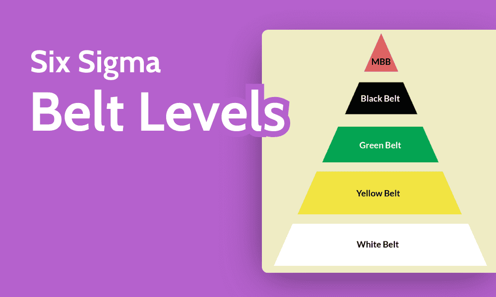 Six Sigma Belt Levels Explained: Order, Roles, Benefits 2024