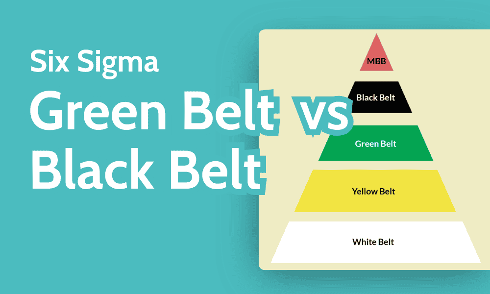 Six Sigma Green Belt vs Black Belt: The Differences 2024